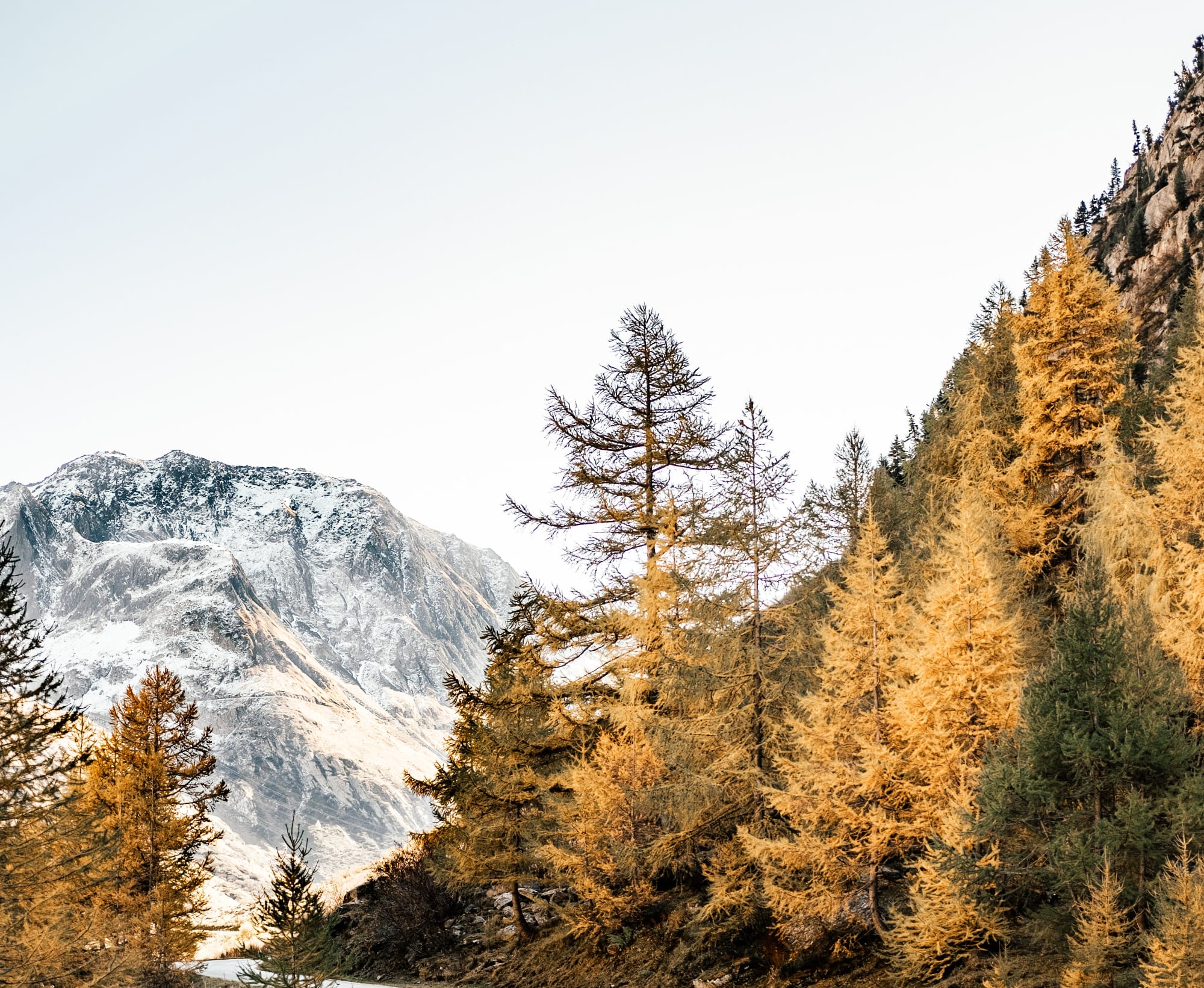 Strasse im Herbstwald mit Berg im Hintergrund