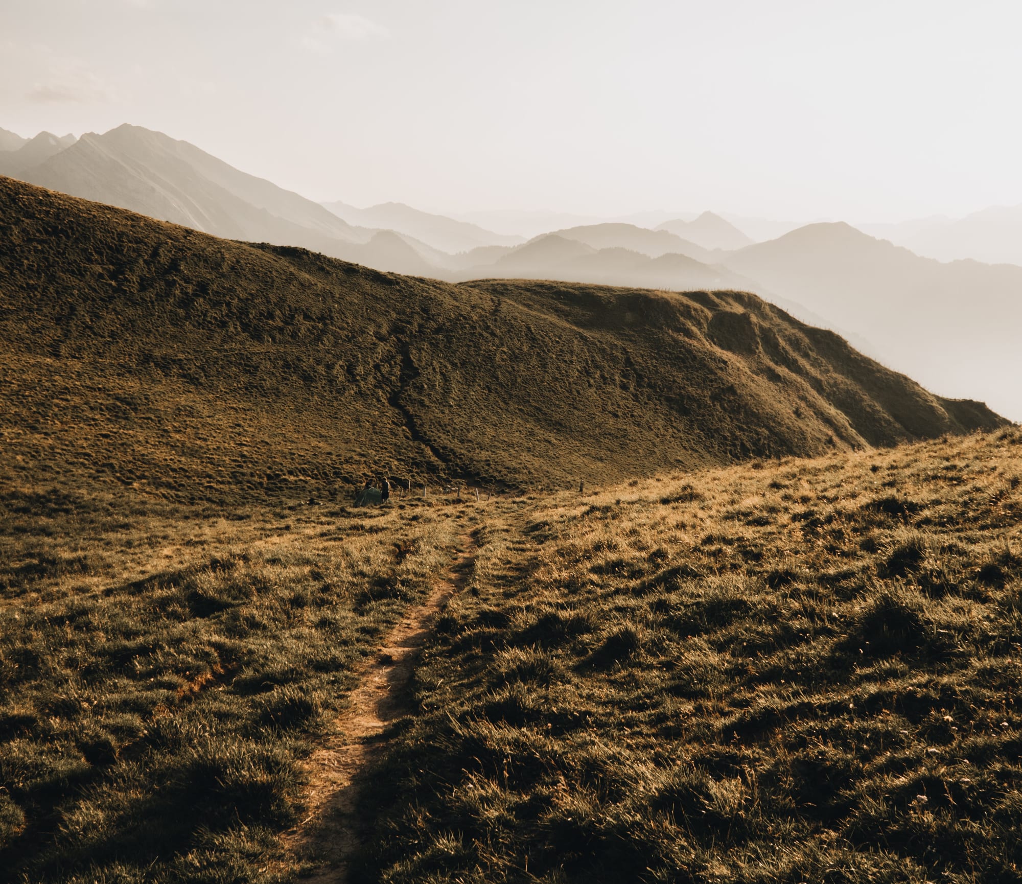 Abendstimmung auf einem Wanderweg in der Schweiz