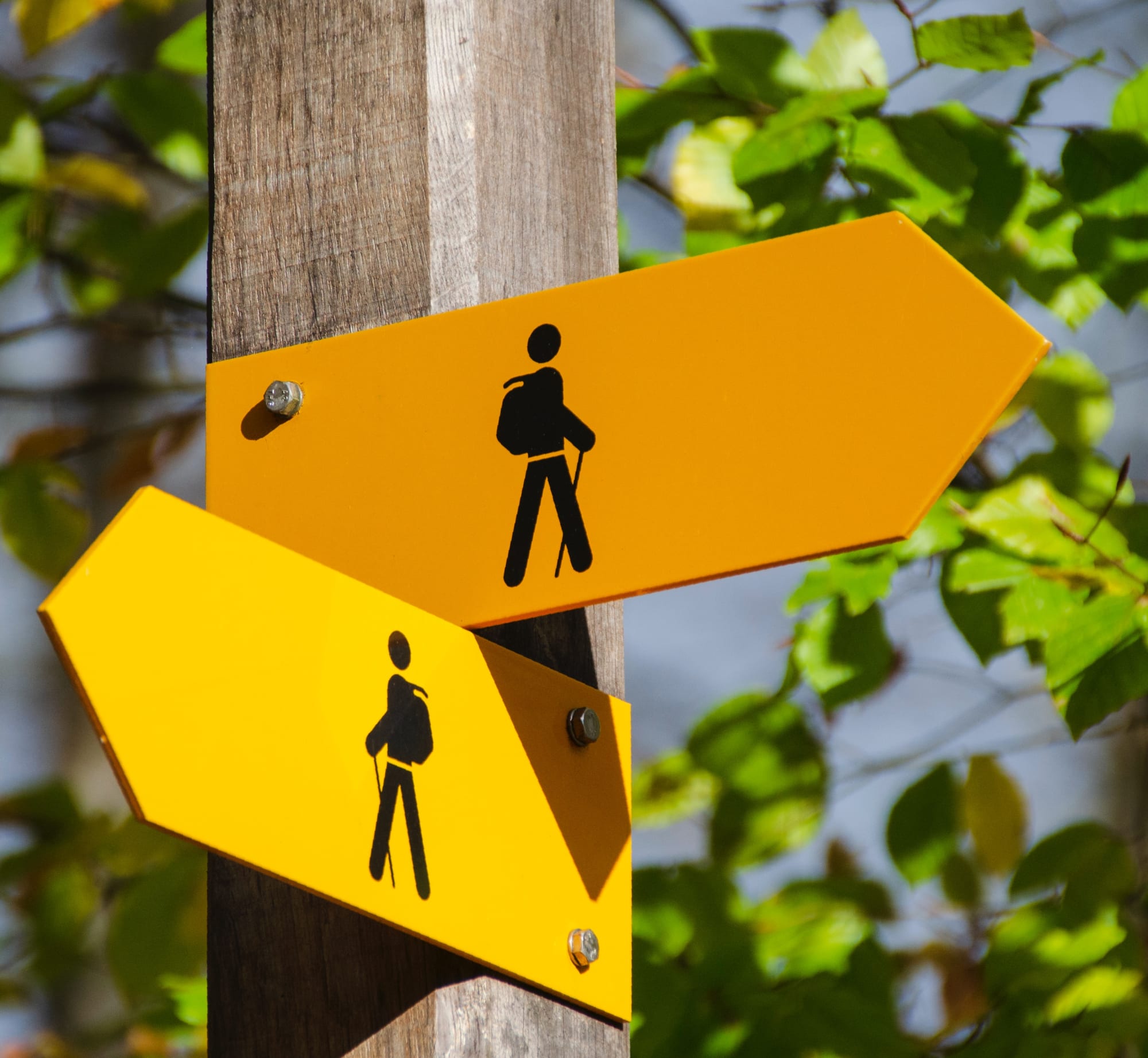 Wanderwegweiser in zwei Richtungen