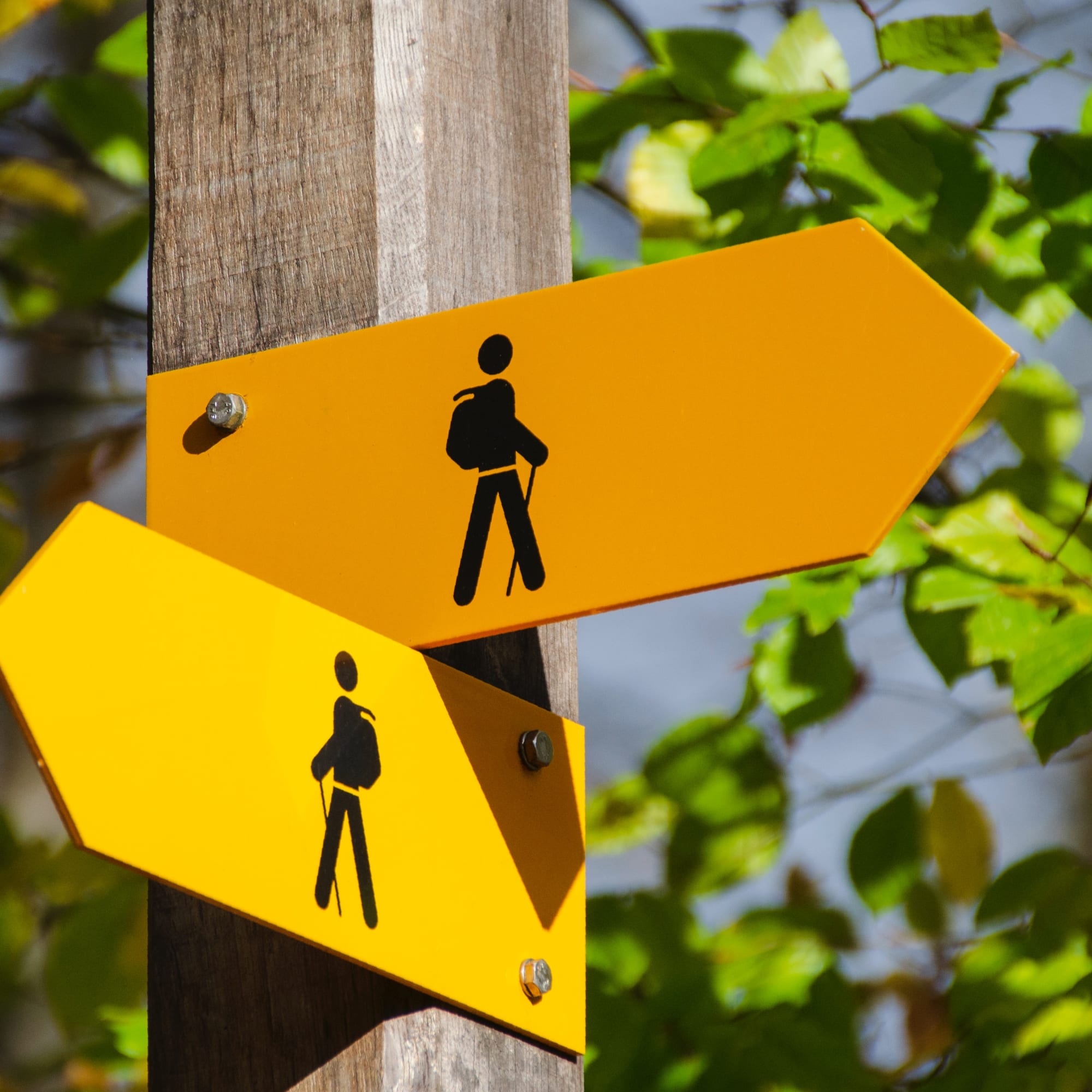 Wanderwegweiser in zwei Richtungen