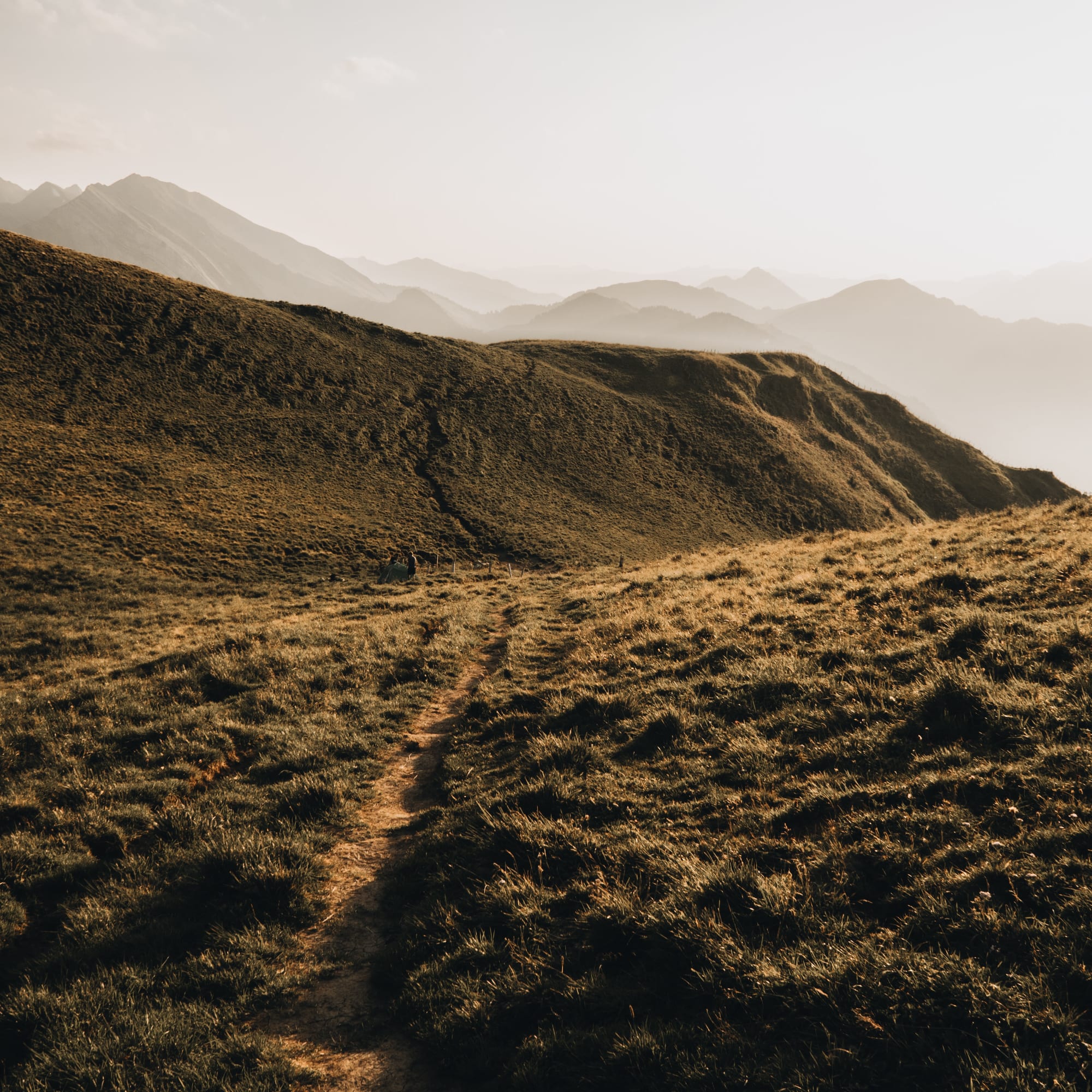 Sentier de randonnée à travers une prairie de montagne dans la lumière du soir