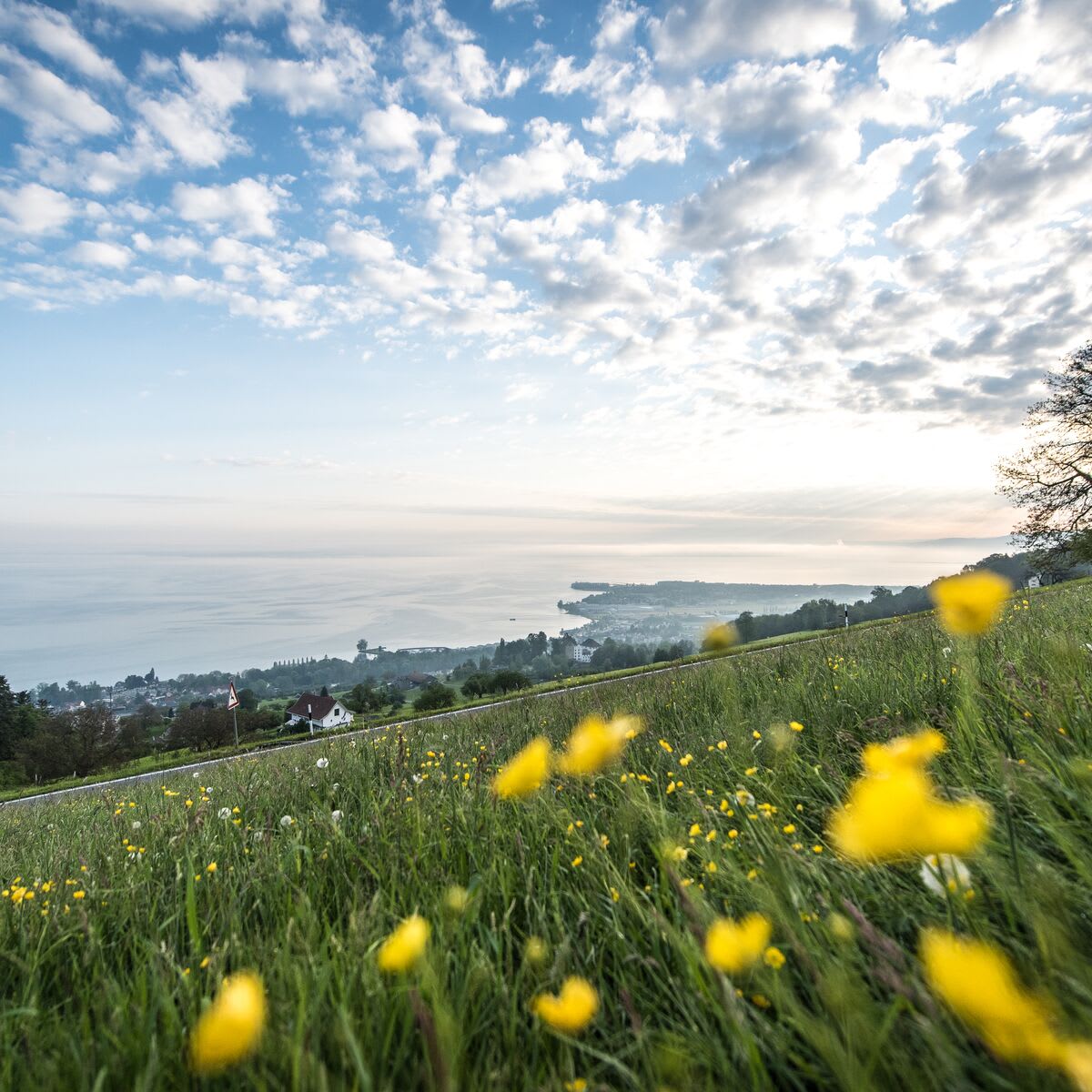 Vue sur le lac de Constance