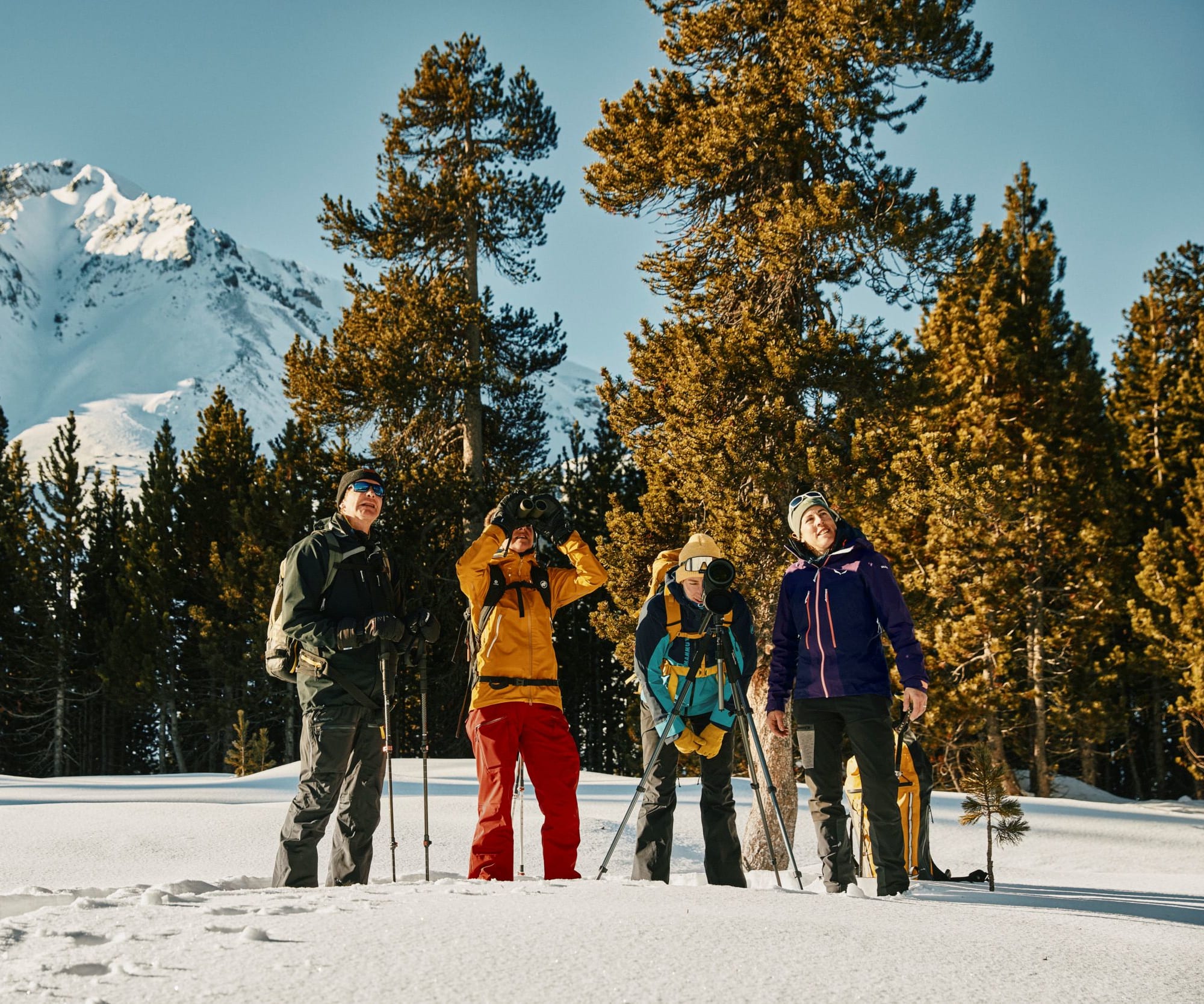 Quattro persone con il telescopio nella neve