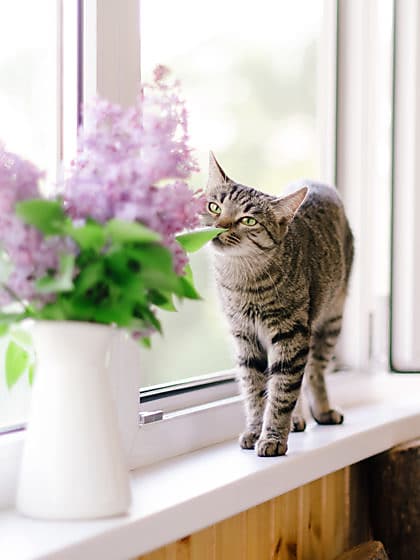 Der Frühling naht! Das solltest du jetzt an deiner Wohnzimmerdeko verändern