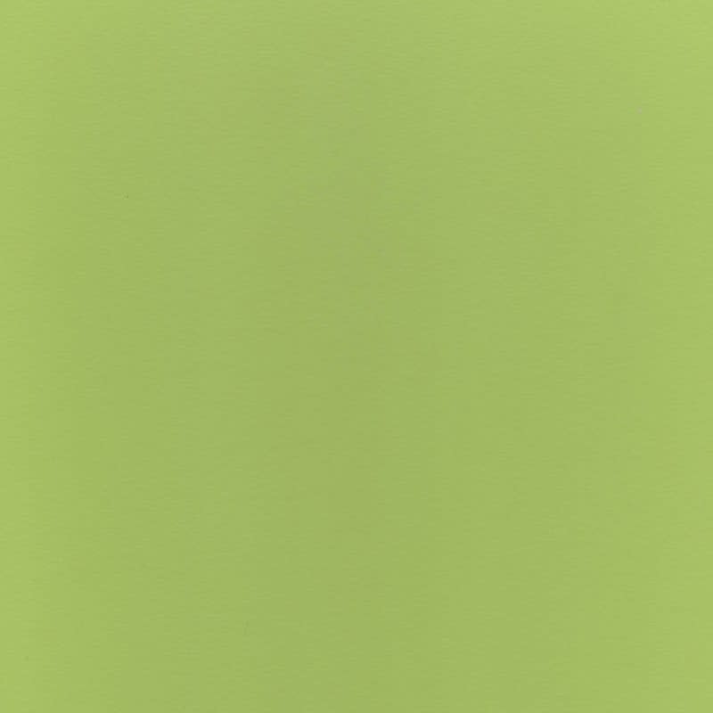 009-3050-1300 lime green suede 10-U214-F36/9A img