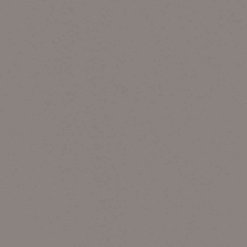 007-4200-0740 turtle grey silk 10-U035-F06/VB img