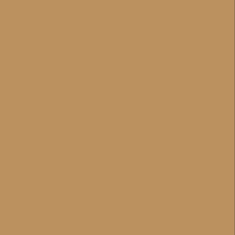 010-1000-0024 caramello sirocco 1 x 24mm 17-U206-S01/124 img