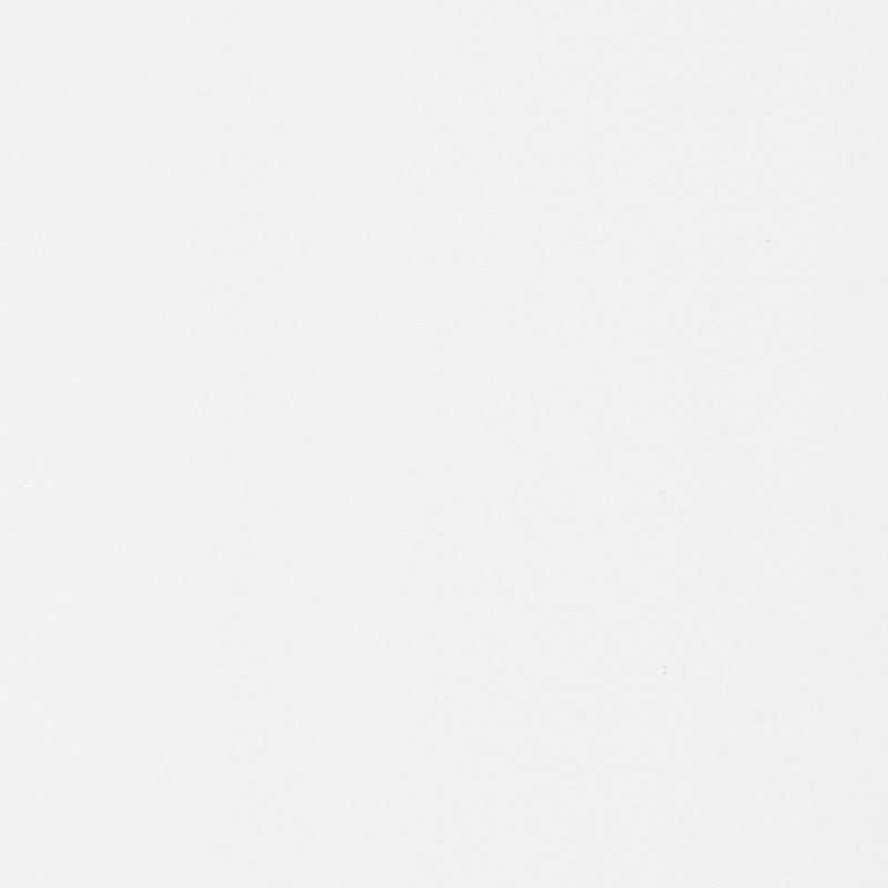 030-4200-1600 wit skin bruine kern 11-U002-F03/A img