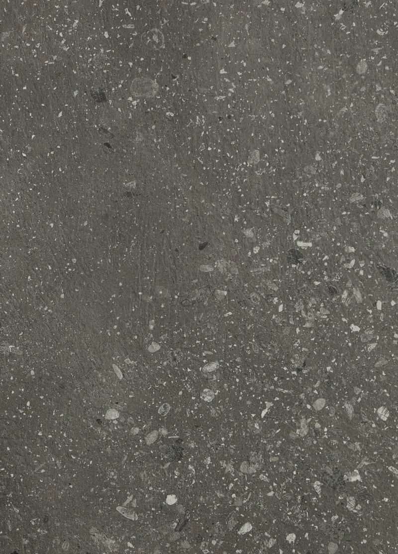 008-4200-1300 artemis 10-D438-F61/8E img