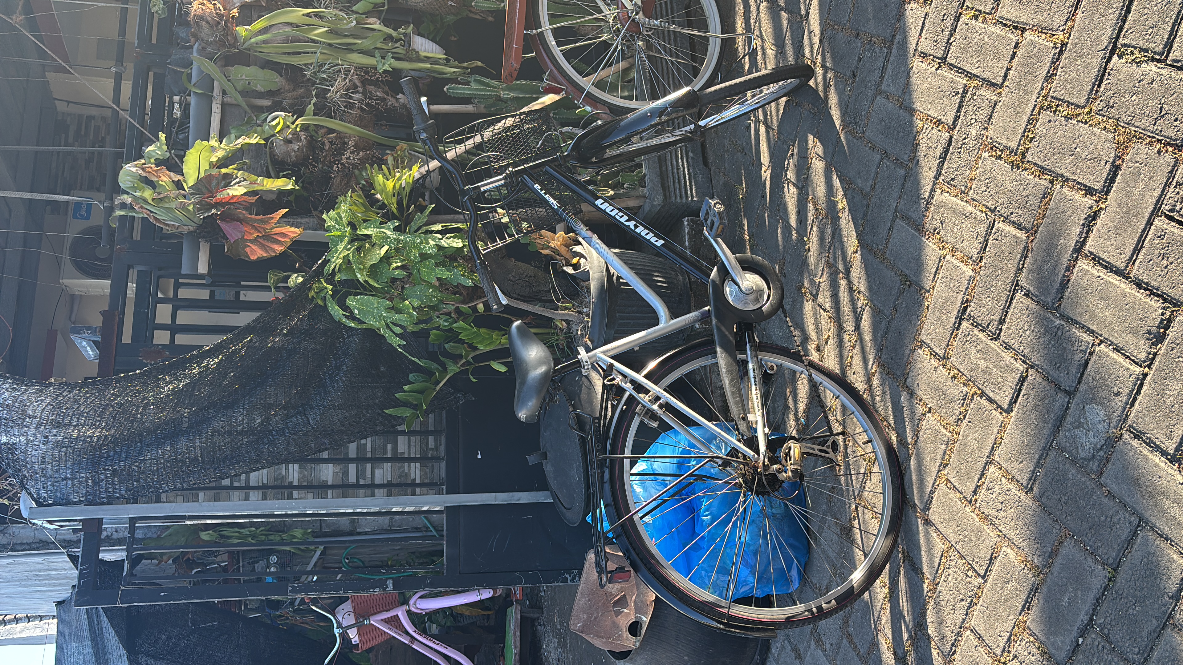 CTB Commuter Polygon Sierra