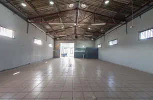 Rua Ivoturucaia, 124
