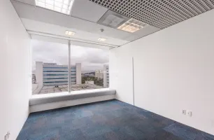 Avenida Maria Coelho Aguiar, 215, Sala Privativa 10