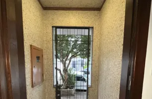 Rua General Lecor, 388