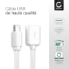 Câble USB OTG pour smartphone Samsung Galaxy S22, S21, S20, S10, S9, A52, A51 - Adaptateur OTG