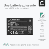 Batterie 1200mAh pour appareil photo Avant DC-530 STD - Remplacement modèle NP-60