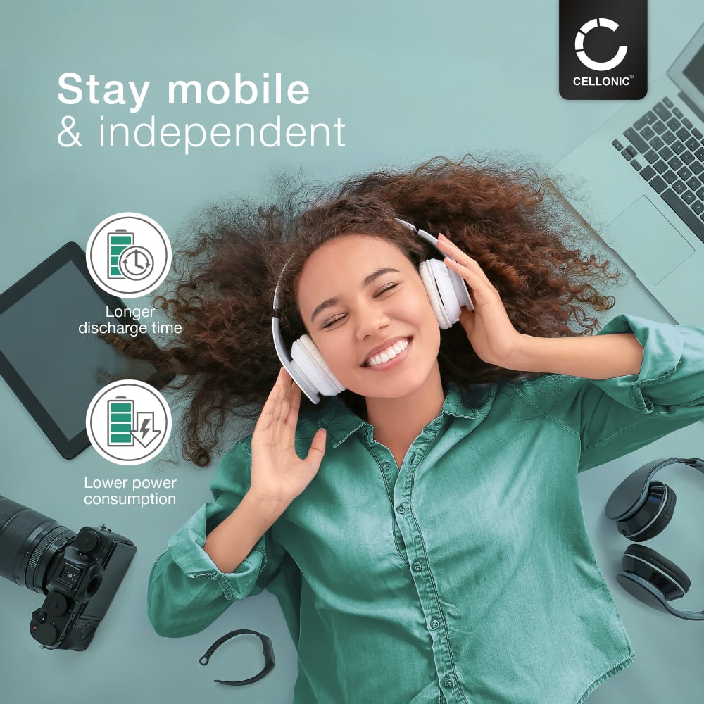 Batteria Ricambio Per Radio Pure One Mini, Evoke H3, D240 - 4200mAh, 3.7V, Agli Ioni Di Litio