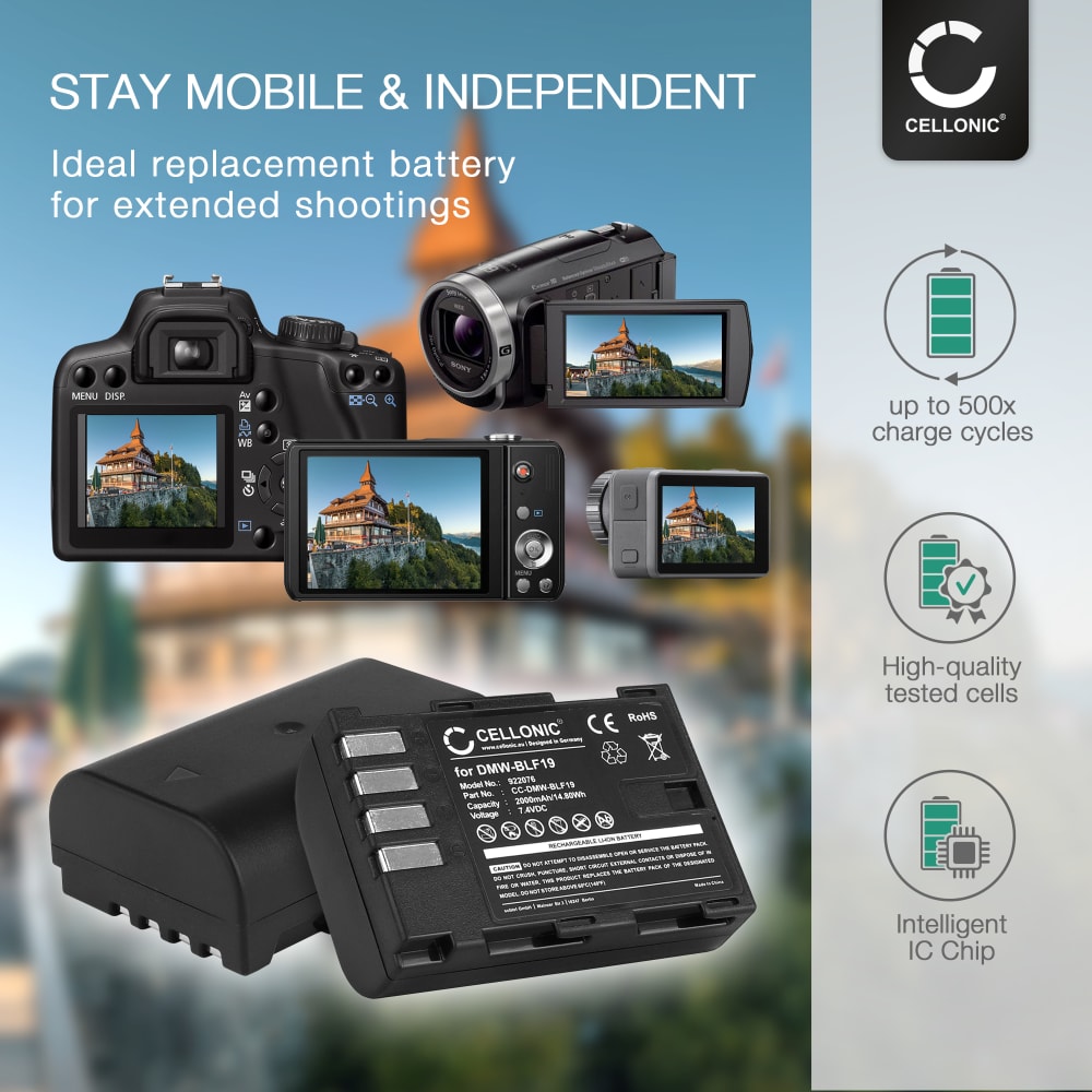 2 Batterie DSTE DMW-BLF19E E Caricatore Doppio USB Con LCD Per Panasonic Lumix DMC-GH3/GH4/G9