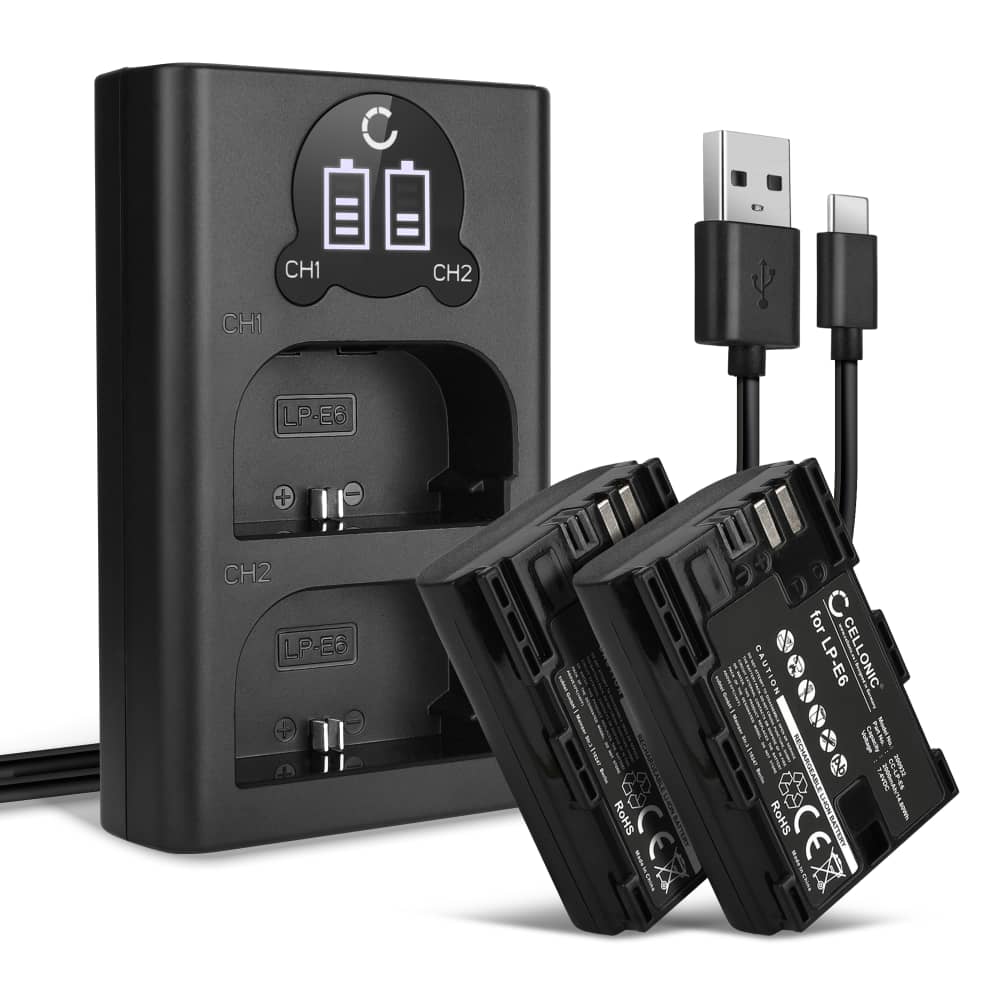 2x Batteri 2000mAh+ Dubbel Laddare