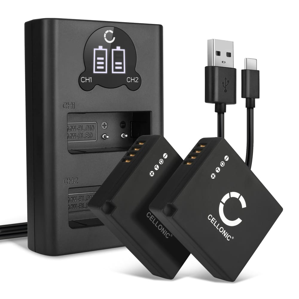 2x Batteri 730mAh+ Dubbel Laddare