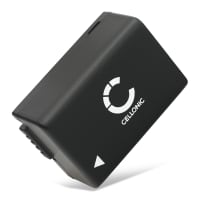 BP-DC9 Batteri för Leica V-LUX 2 V-LUX 3, 800mAh Kamera-ersättningsbatteri med lång batteritid