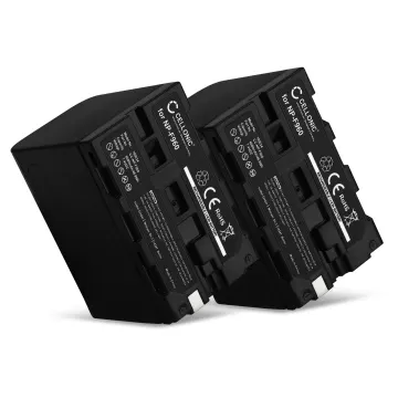 2x Batterie di ricambio NP-F970 -F96 NP-F550 -F570 -F750 -F770 -F330 per Sony HXR-NX100 -NX5 HXR-MC2500 HDR-FX7 -FX1 -FX1000 HVR-Z1 HVR-HD1000 DSR-PD150 -PD170p DCR-VX2100 NEX-ES50M -FS700M GV-D200 da 6600mAh