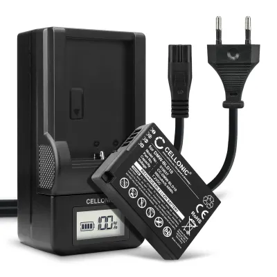 2x DMW-BLD10 Camera Battery + Charger Set for Panasonic Lumix DMC-GX1 Lumix DMC-G3 Lumix DMC-GF2 Lumix DMC-ZS7 Lumix DMC-TS2 900mAh Replacement Battery DMW-BLD10 LCD Smart Charger