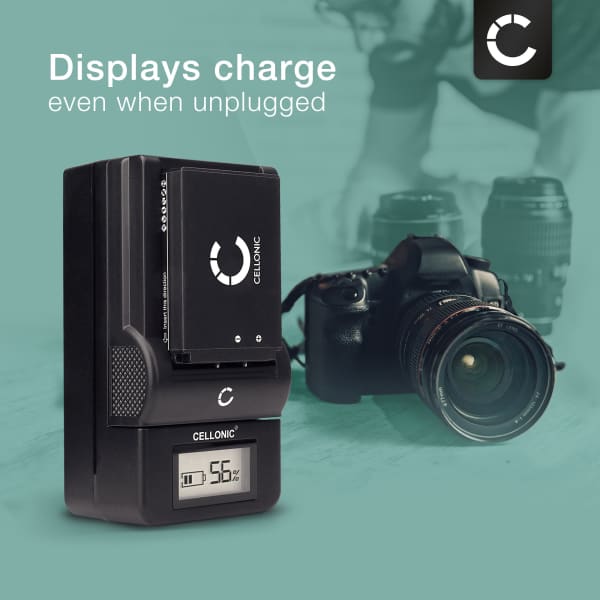 2x DMW-BLD10 Camera Battery + Charger Set for Panasonic Lumix DMC-GX1 Lumix DMC-G3 Lumix DMC-GF2 Lumix DMC-ZS7 Lumix DMC-TS2 900mAh Replacement Battery DMW-BLD10 LCD Smart Charger