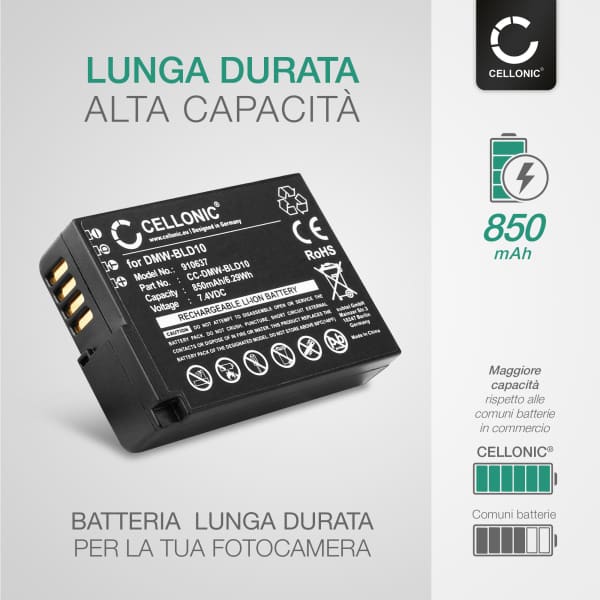 2x Batteria per Panasonic Lumix DMC-G3 Lumix DMC-GX1 Lumix DMC-GF2 Lumix DMC-ZS7 Lumix DMC-TS2 - DMW-BLD10 850mAh + Caricabatteria DMW-BLD10 di Ricambio sostituzione scorta