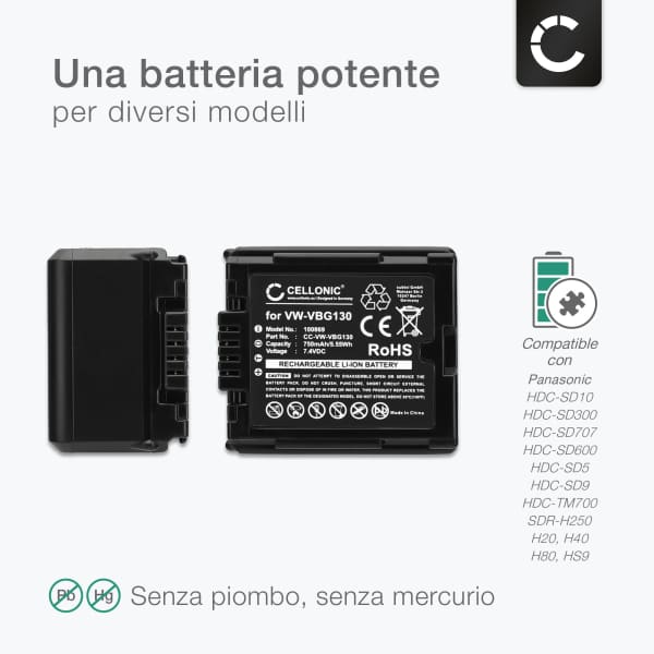 Batterie Caméra TM10 TM15 SDR-H40 Batterie VW-VBG130 Compatible Panasonic - Pour Caméscopes HDC-SD1/SD3/SD5/SD10/TM10/TM15 - Haute Capacité Batterie Caméscope Hdc-sd1