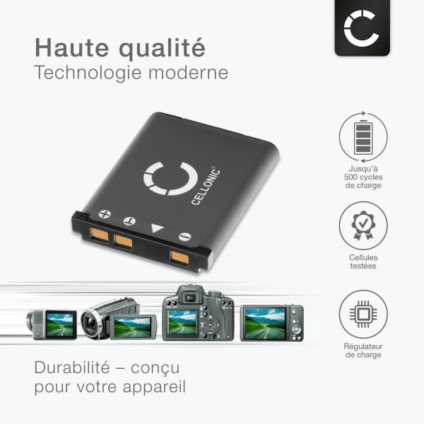 Batterie NP-80, Batterie pour appareil photo numérique CASIO