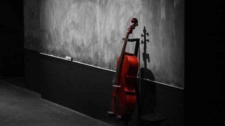 The Top Music Schools & Conservatories in the U.S. - Successful Student