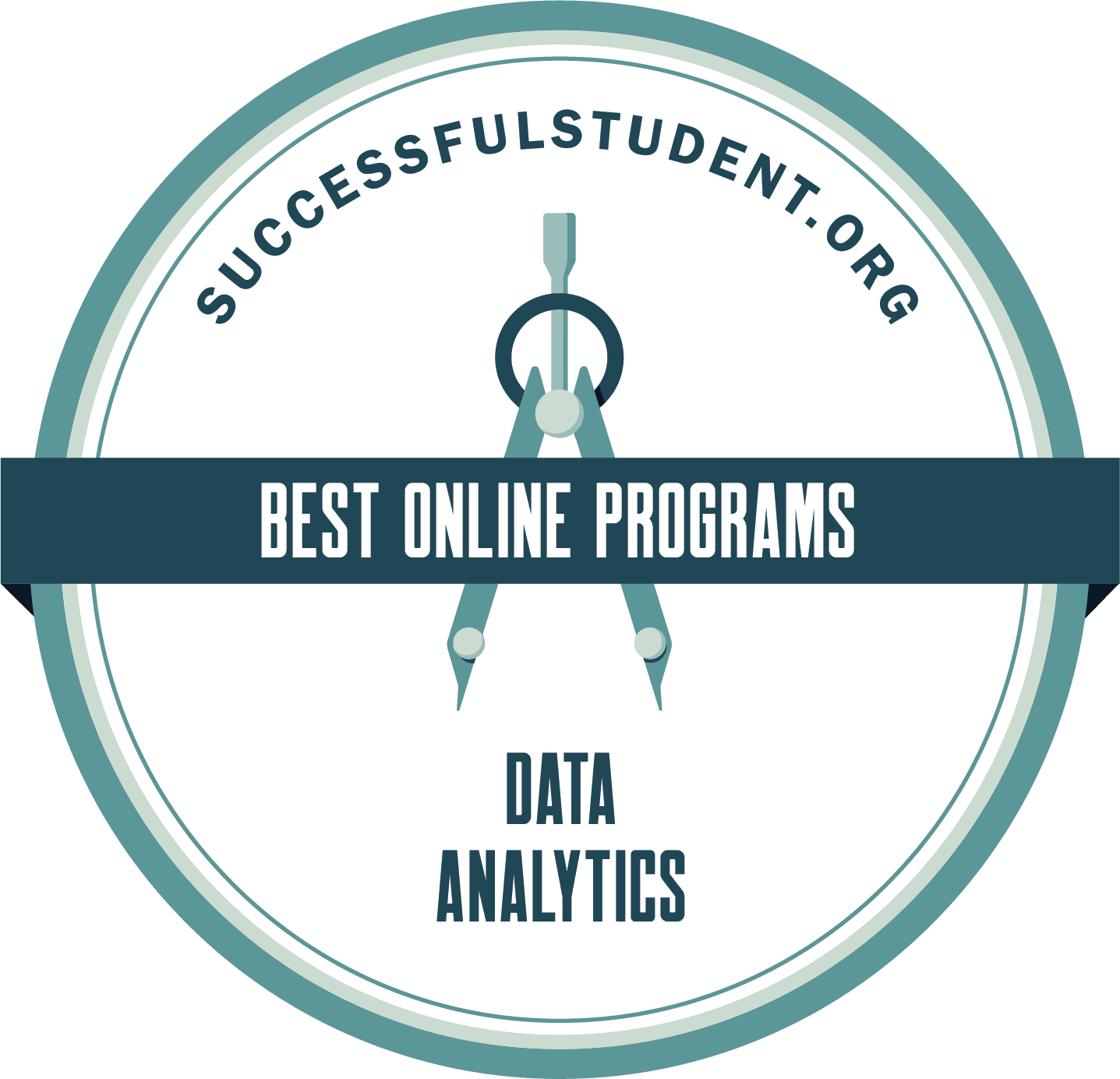 The Best Online Data Analytics Programs 2021 Successful Student