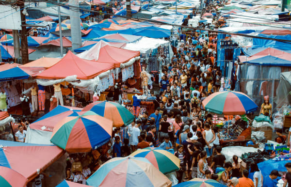 Exploring the 19 SPPT Traits