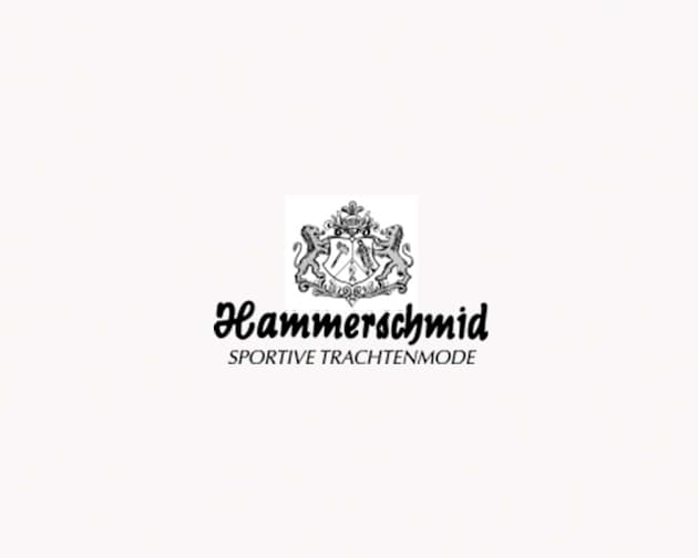 hammerschmid logo