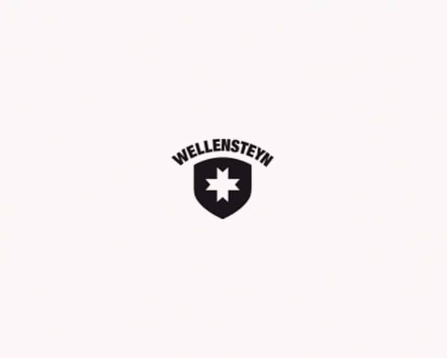 logo wellensteyn