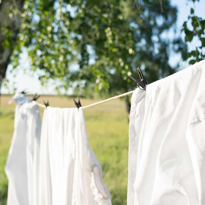 Weiße Wäsche wird auf einer Wäscheleine zwischen zwei Bäumen getrocknet