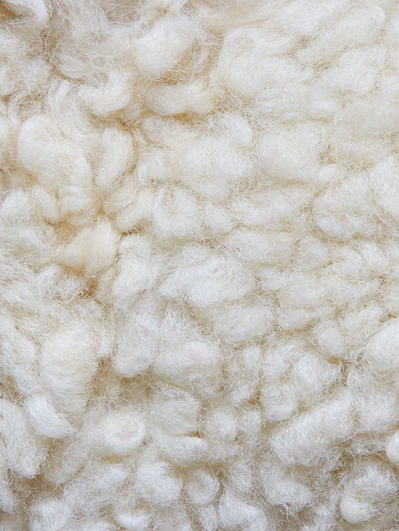 Nahaufnahme von einem Schafsfell