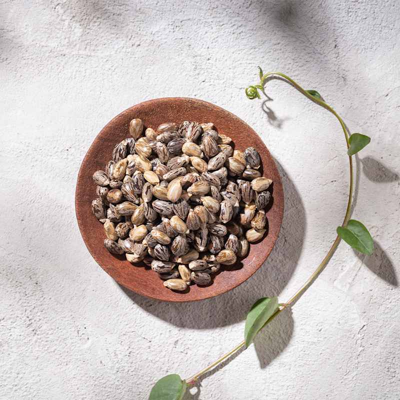 Rizinusbohnen in einer Keramikschale