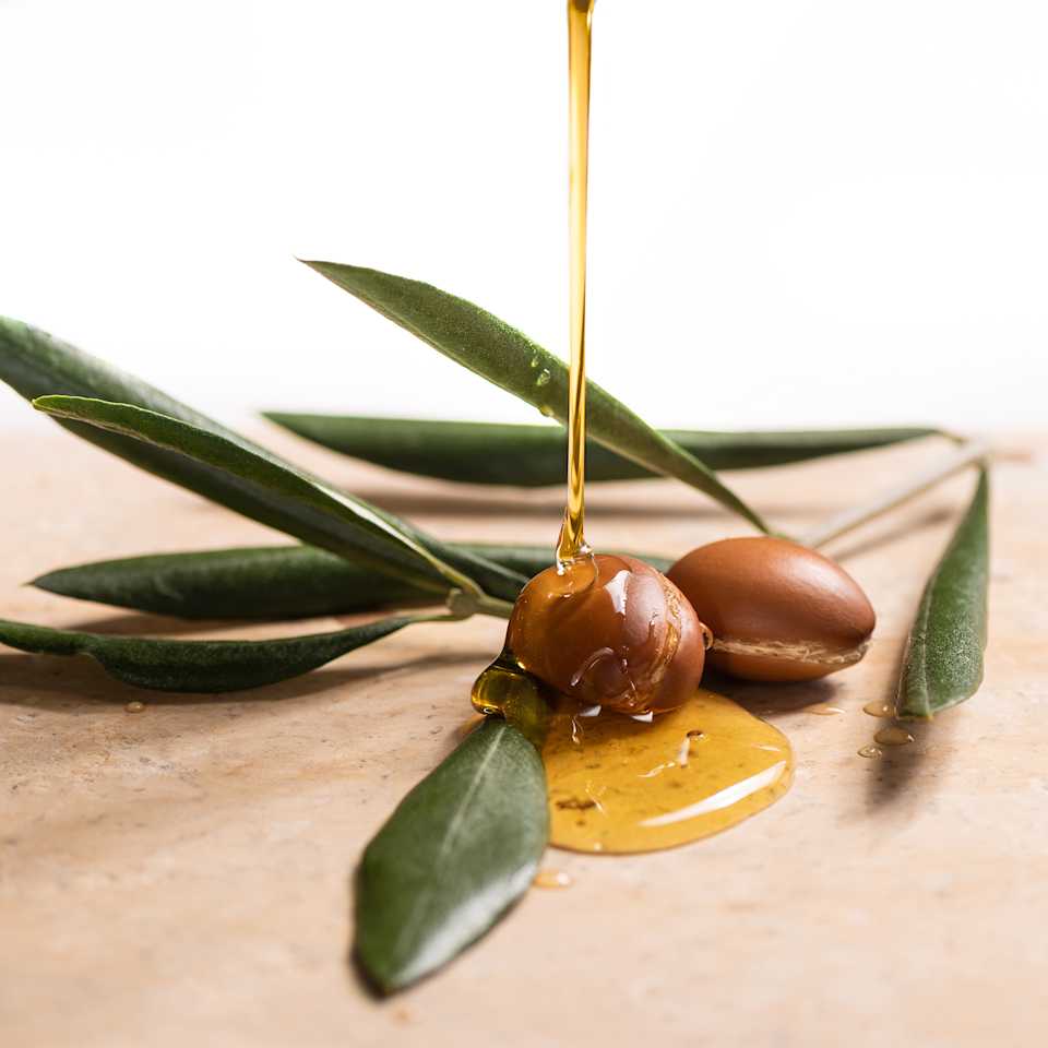 Arganzweig mit Früchten und Arganöl