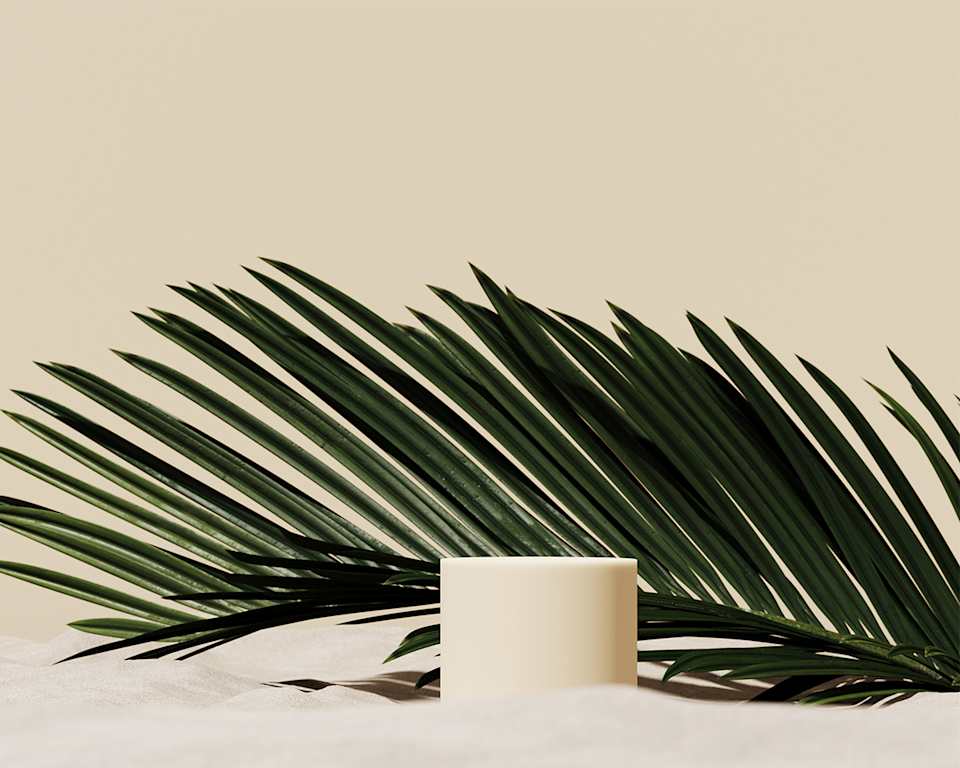 Palmenzweig auf beigem Untergrund