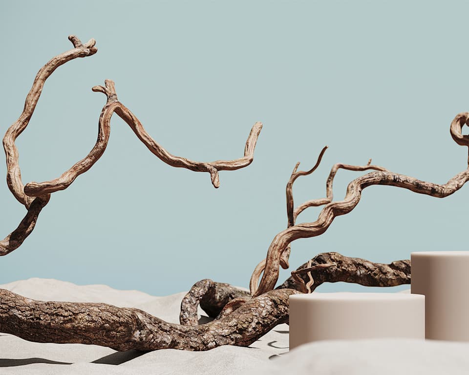 Ast auf Sand und mintfarbenem Hintergrund