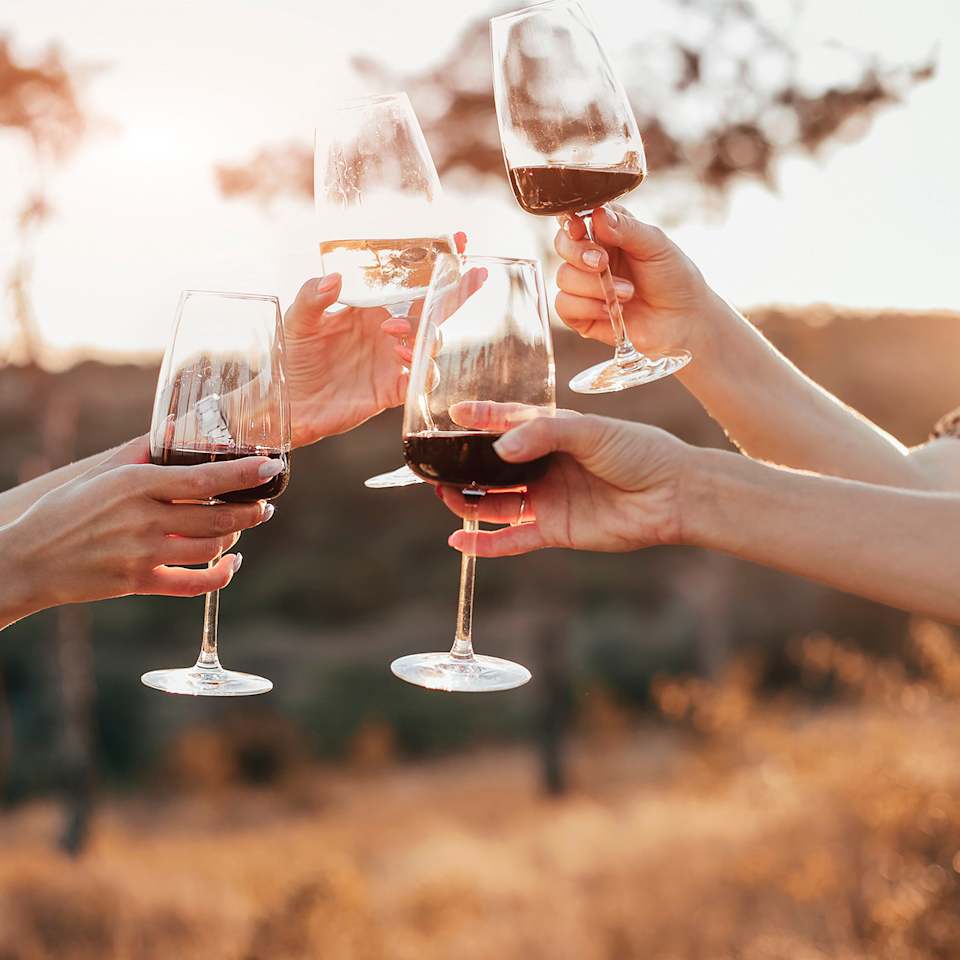 Vier Leute stoßen mit ihren Weingläsern an
