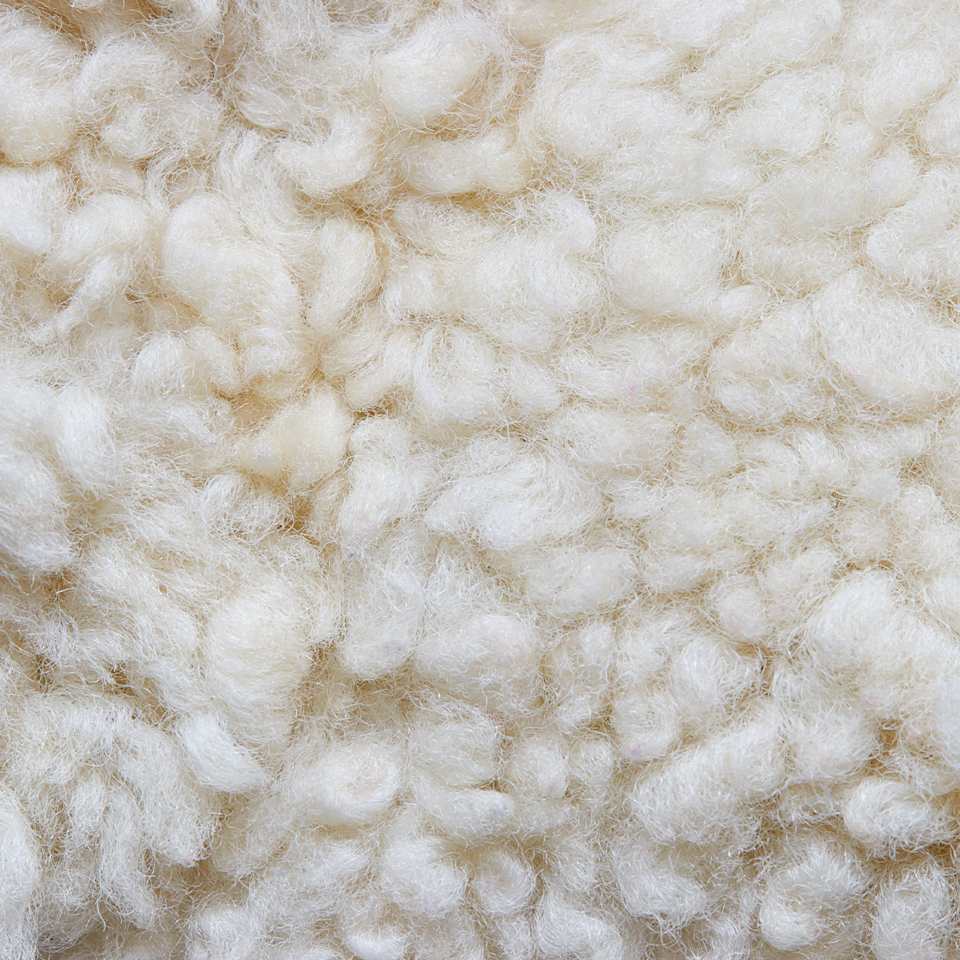 Nahaufnahme von Schafswolle