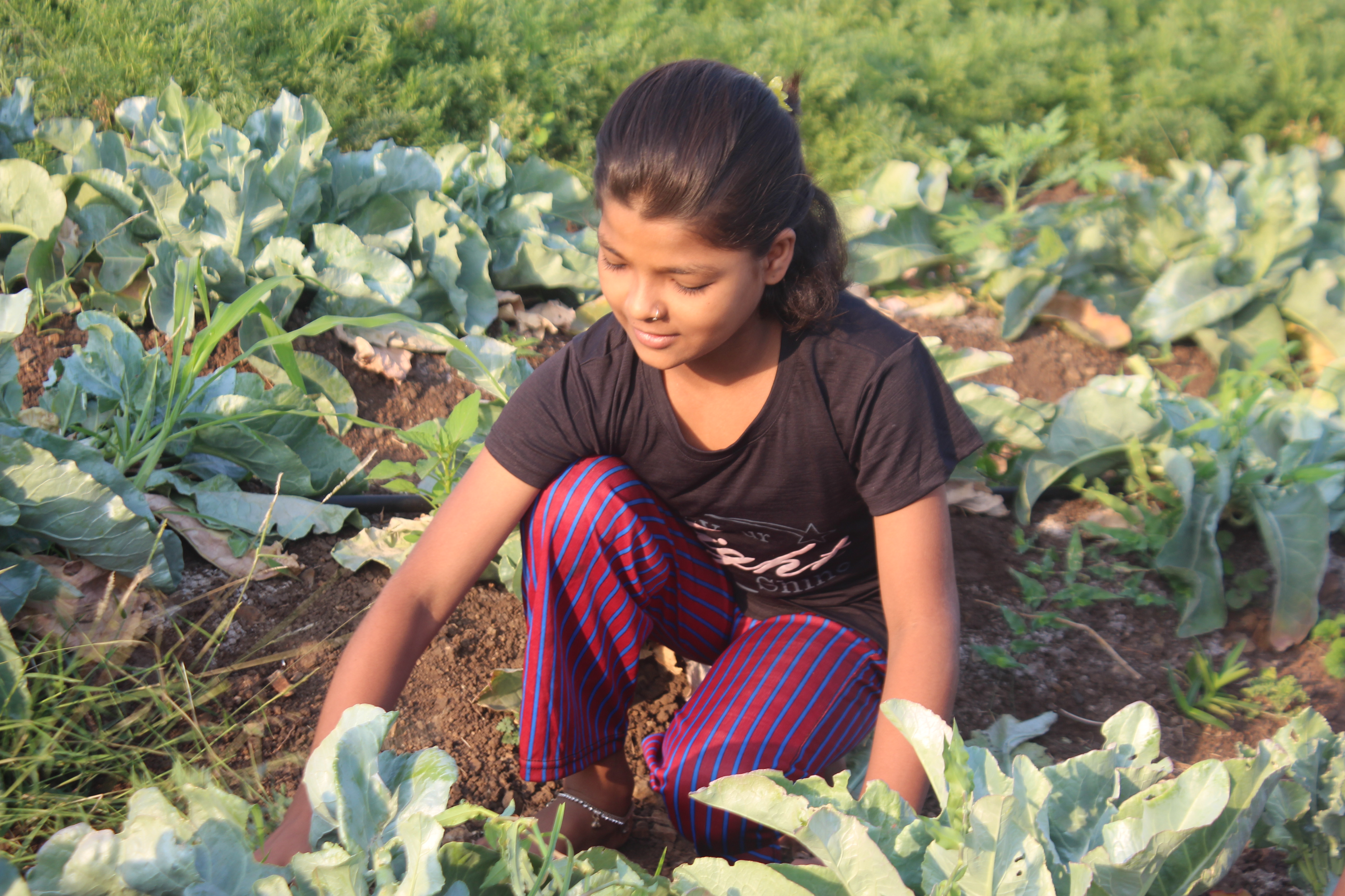 Prathana Foundation Solapur