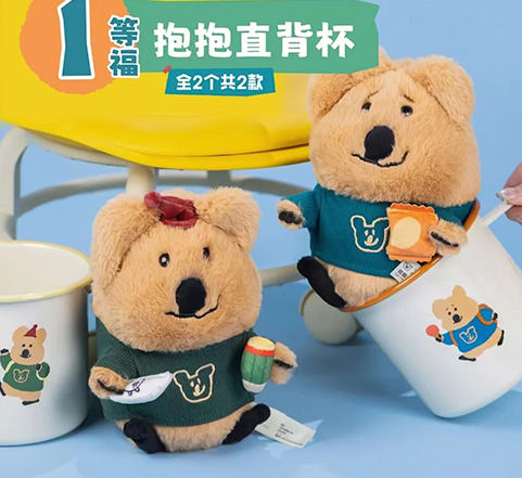 A) Cup