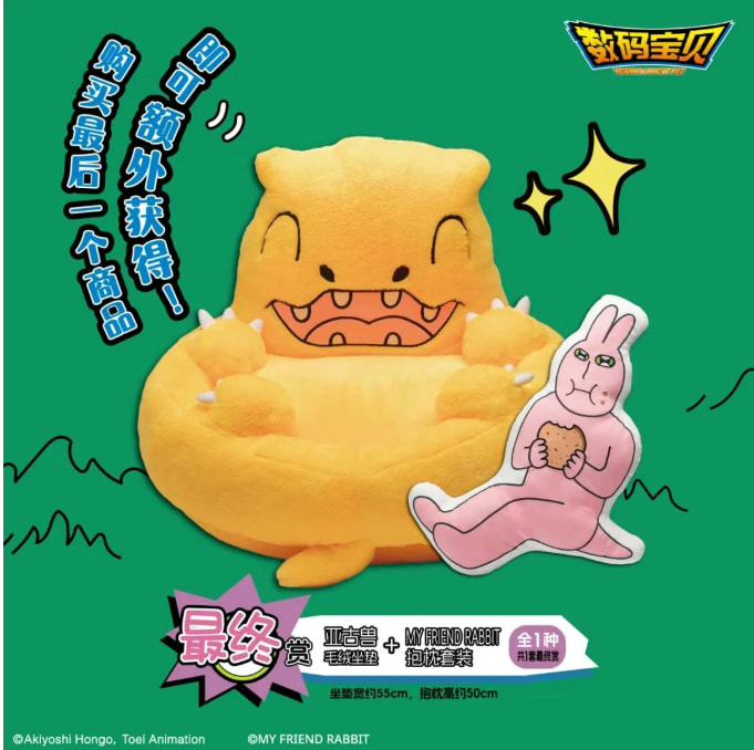 LAST) Cushion/Pillow Set