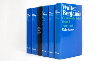 Gesammelte Briefe. Sechs Bände (Broschur/Leinen)