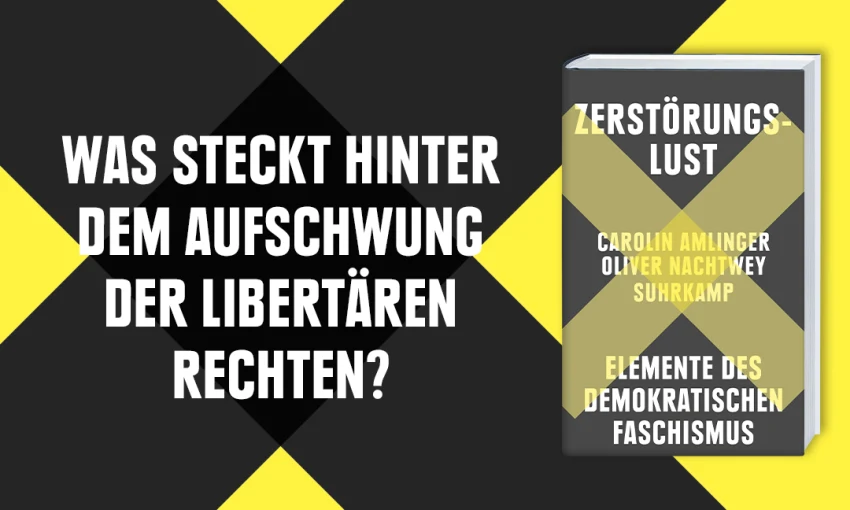 Amlinger, Nachtwey "Zerstörungslust"