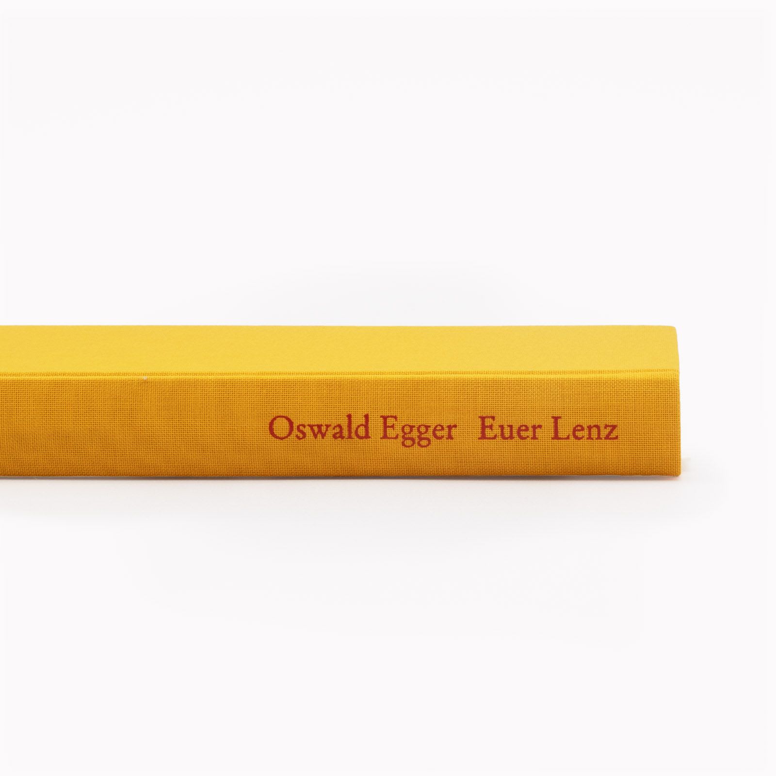 Foto des Buchs »Euer Lenz« von Oswald Egger
