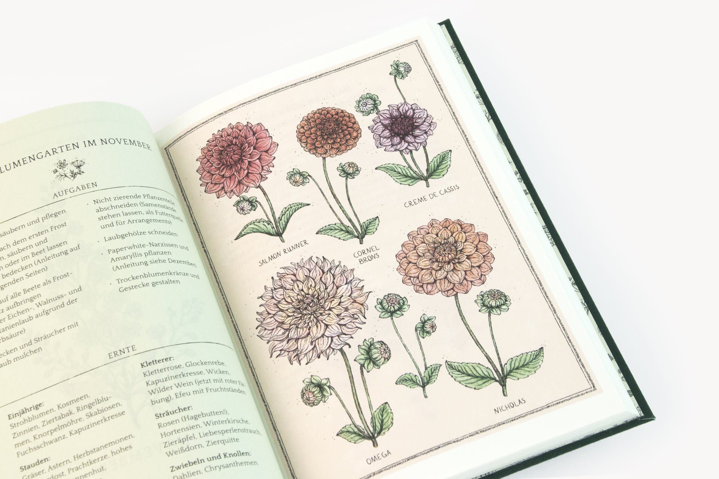 Flower Notes: Blumengarten im November